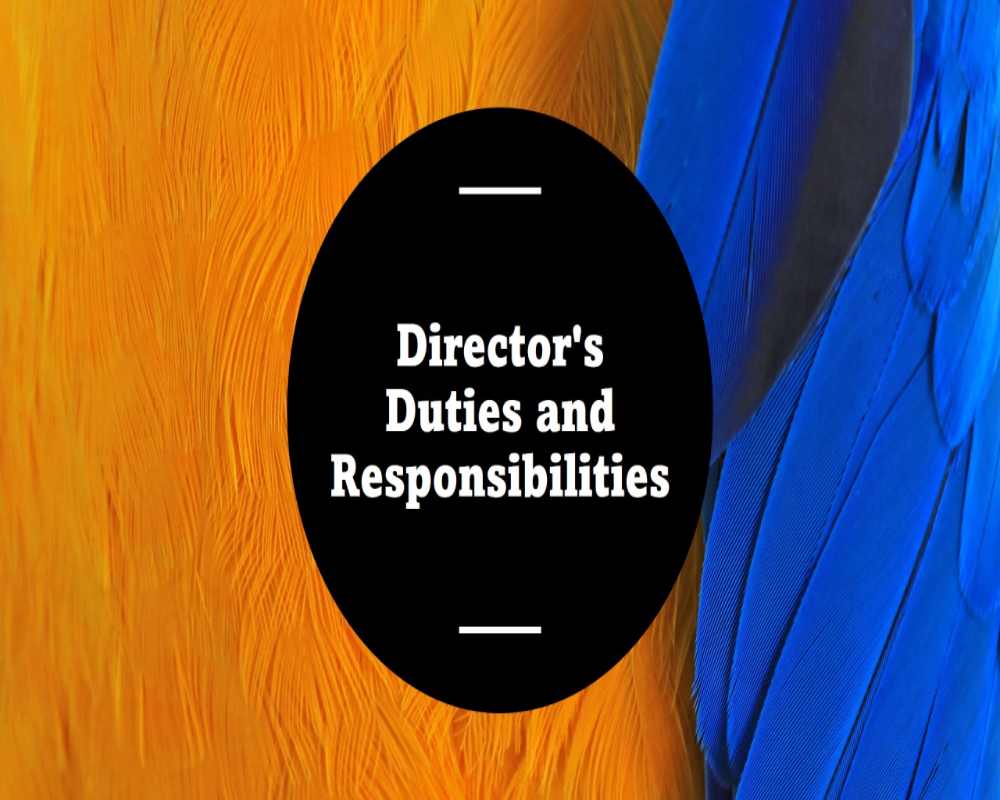 Introduction to director responsibilities in subsidiaries Hello Auditor