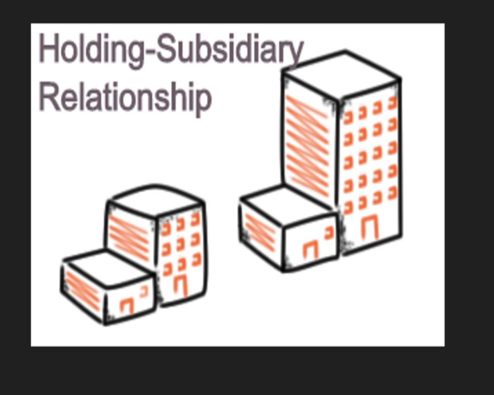Define holding-subsidiary relationship under law Hello Auditor