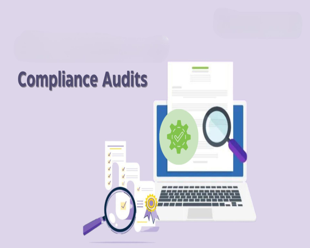 Hello Auditor
