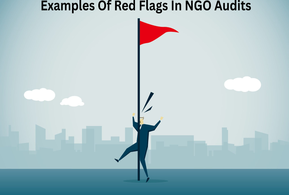 What are examples of red flags in NGO audits?
