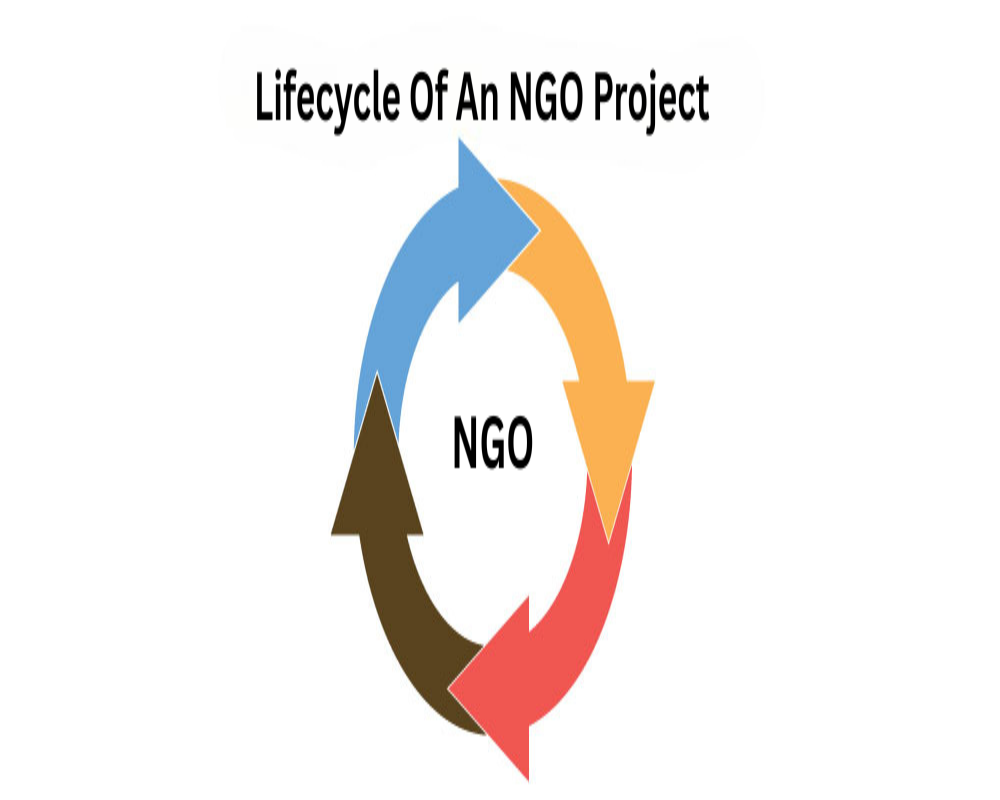 What is the lifecycle of an NGO project? Hello Auditor