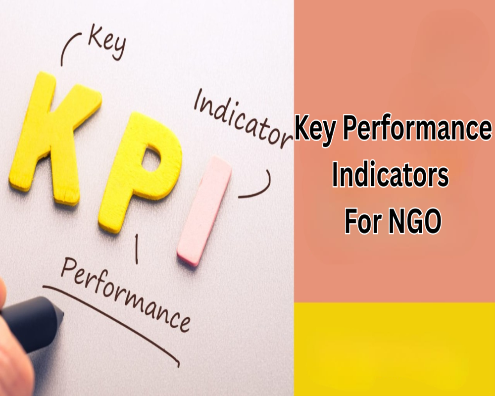 What are key performance indicators for NGOs? Hello Auditor