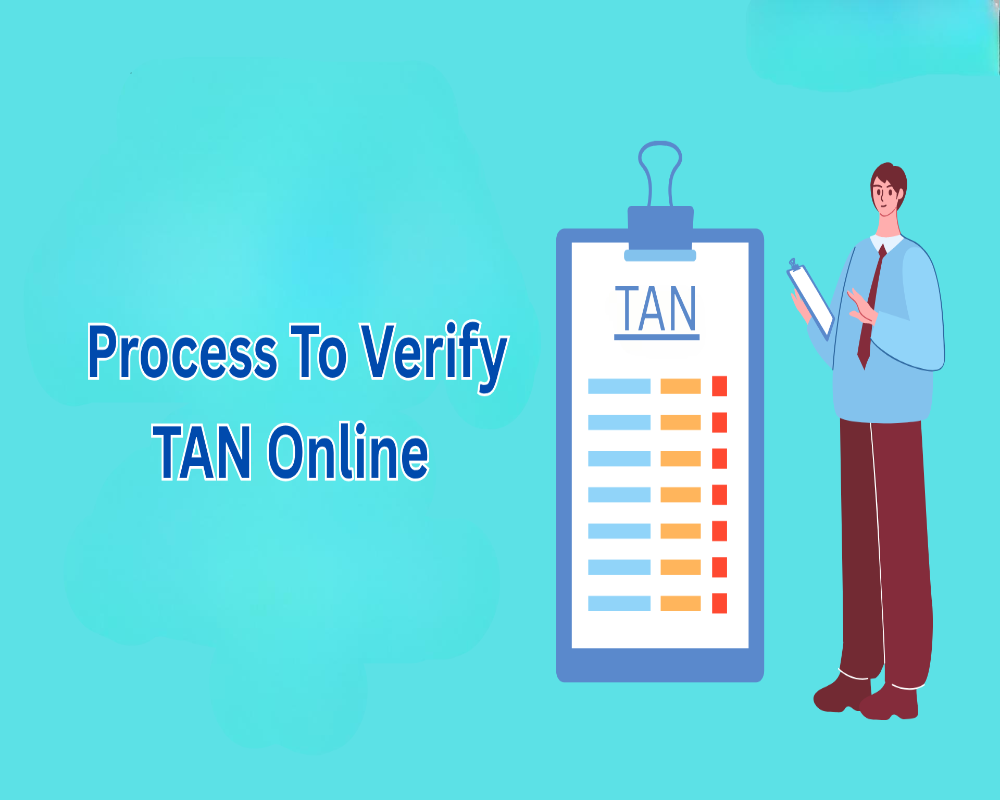 Describe the process to verify TAN online Hello Auditor