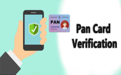Describe PAN verification through income tax portal