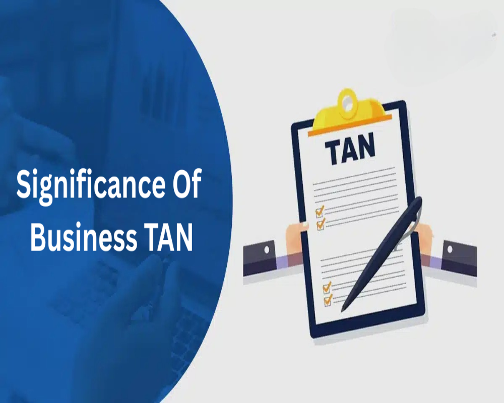 Establish the significance of Business TAN Hello Auditor