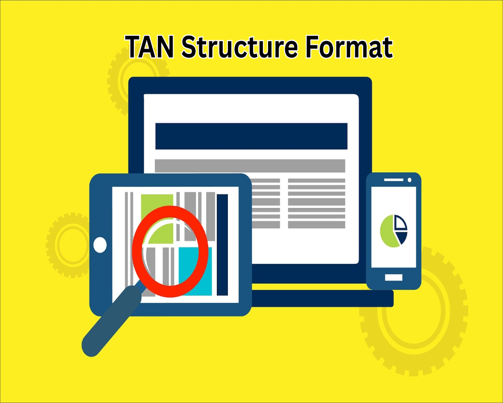 Briefly mention the TAN structure format with example Hello Auditor