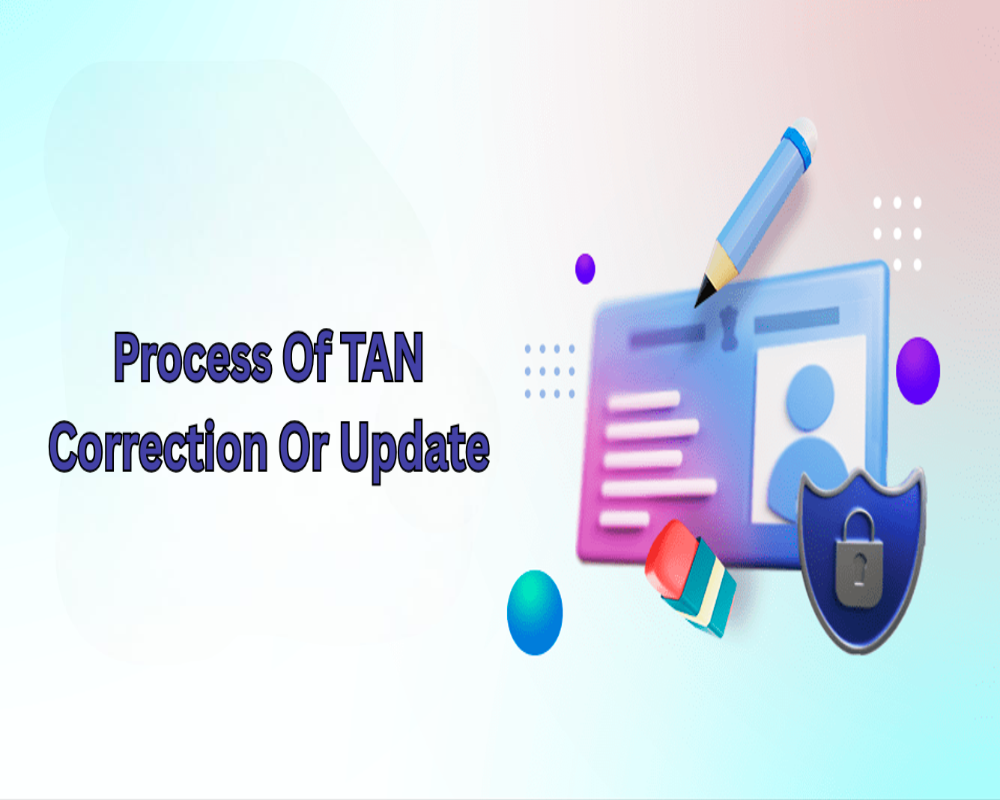 Establish the process of TAN correction or update Hello Auditor