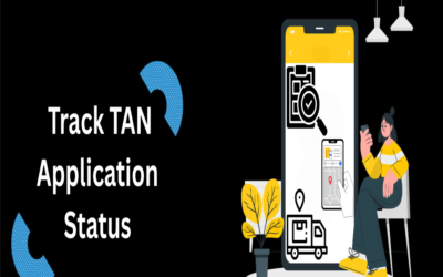 Explain how to track TAN application status