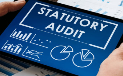 Briefly discuss TAN and its role in statutory audits