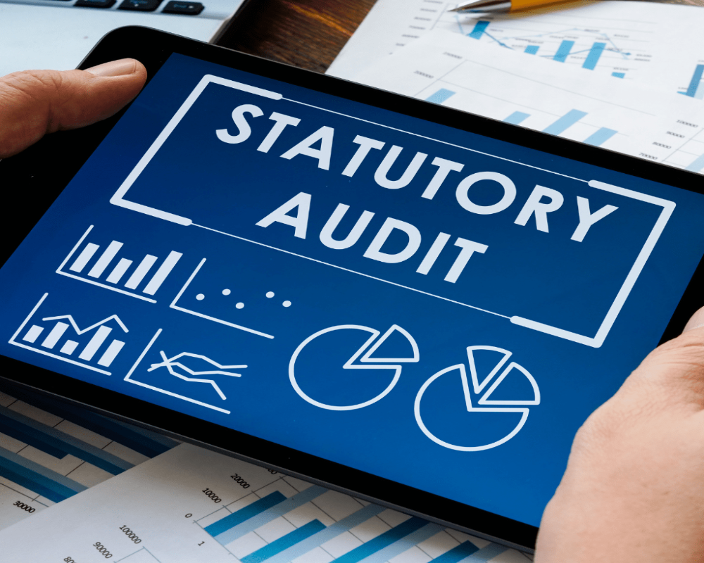 Briefly discuss TAN and its role in statutory audits Hello Auditor