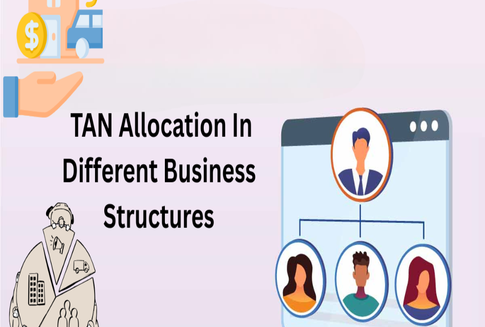 Introduction to TAN allocation in different business structures