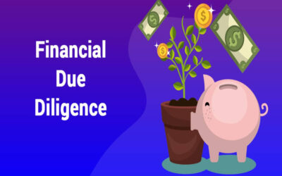 Describe the financial due diligence steps critical for assessing a potential JV partner in India.