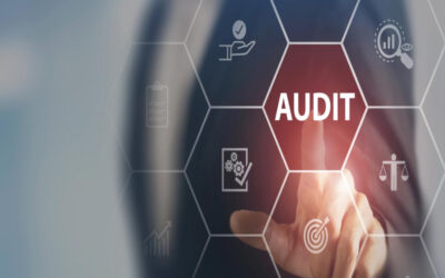 Describe the effect of TAN on business audits