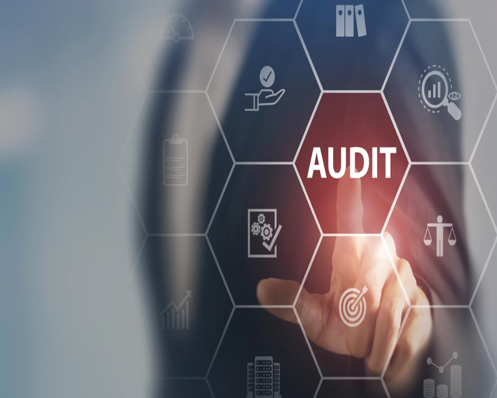 Hello Auditor