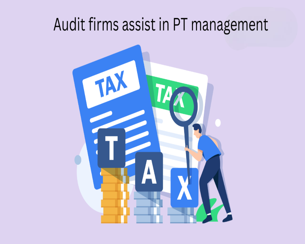 Establish how audit firms assist in PT management Hello Auditor