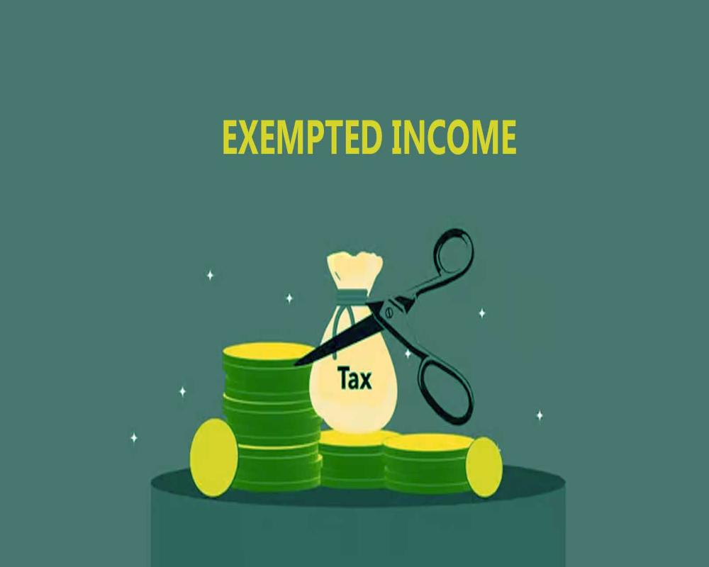 Exempted Incomes Image Establish how exempt incomes are treated under PT laws - Hello Auditor