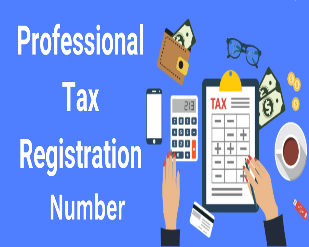Businesses Must Display PT Registration Number at Premises - Hello Auditor