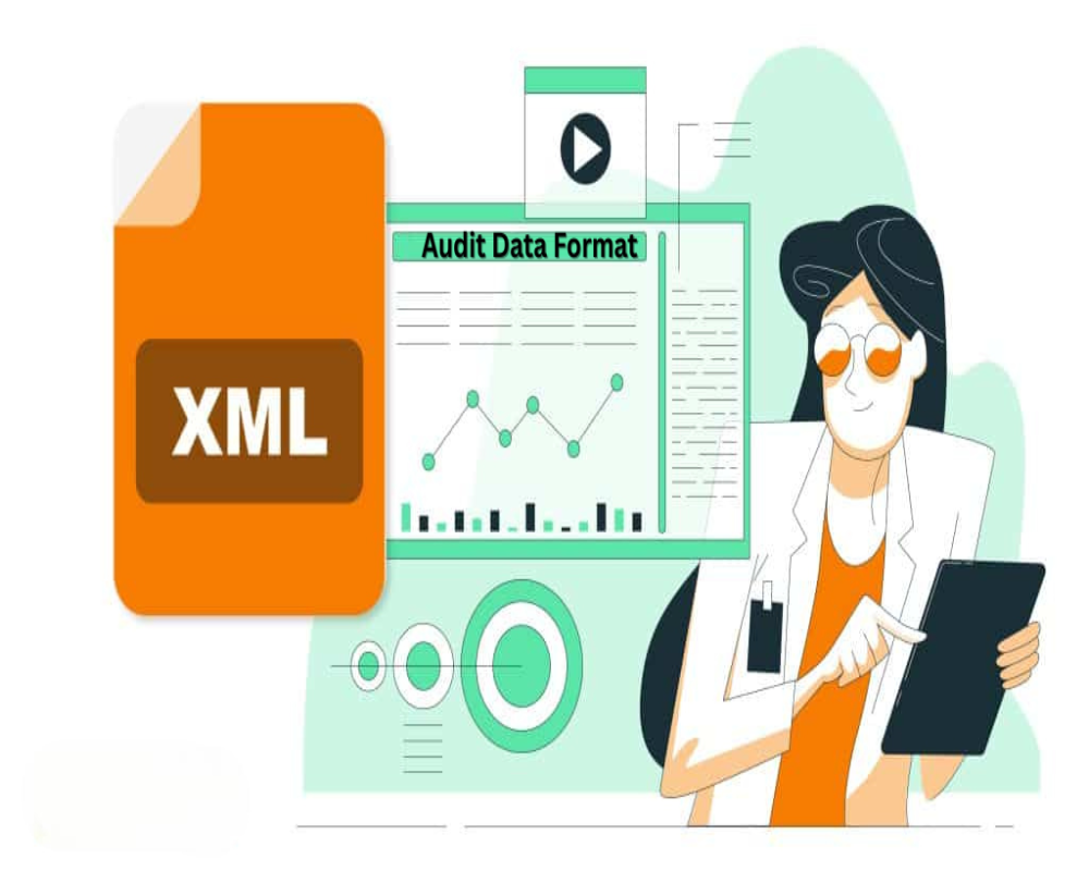 Companies Told to Submit Audit Data in XML Format - Hello Auditor