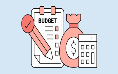 What is the use of professional tax in state budgets?