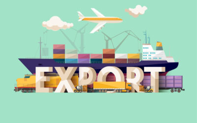 What is TAN requirement for export businesses?