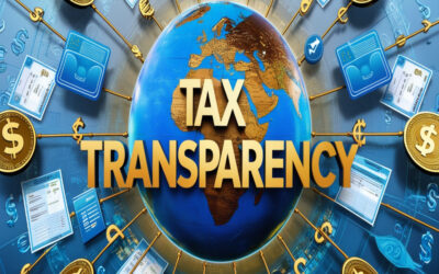 How TAN contributes to tax transparency?