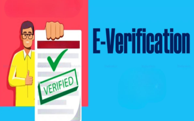 What is the e-verification of TAN?