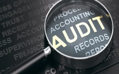 How to prepare TAN records for audit?