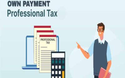 How do professionals pay their professional tax?