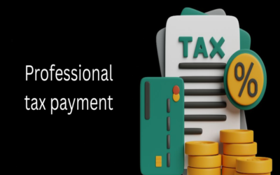 What is the frequency of professional tax payment?