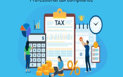 What details must be maintained for professional tax compliance?