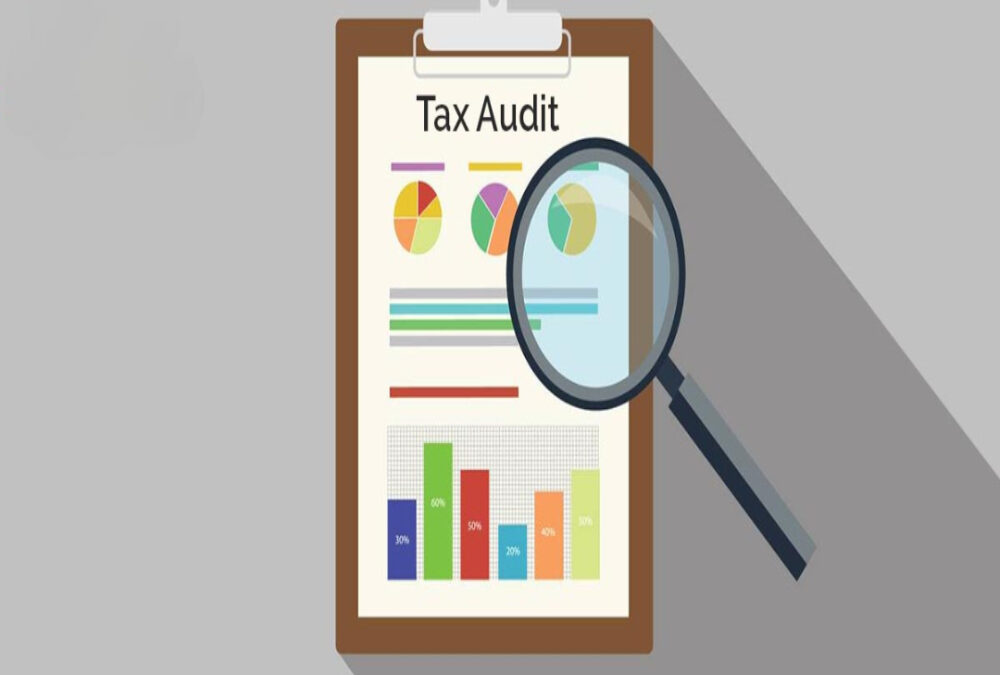 How is PAN used in tax audit reporting?