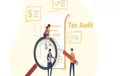 What is the audit procedure under professional tax laws?