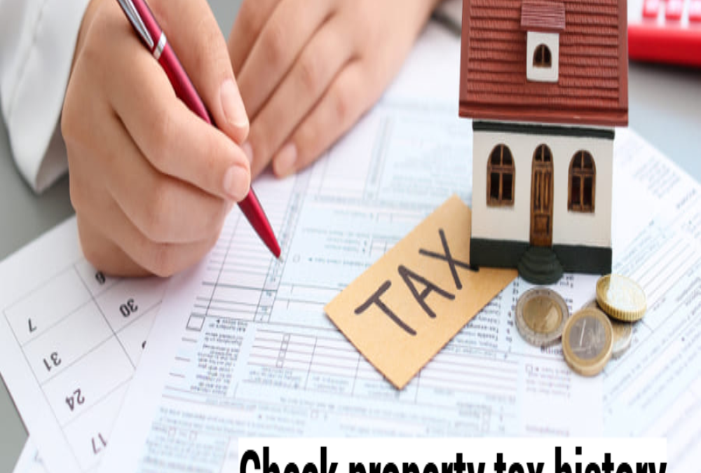 How to check property tax history?