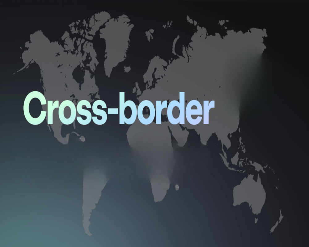What is a cross-border joint venture? Hello Auditor