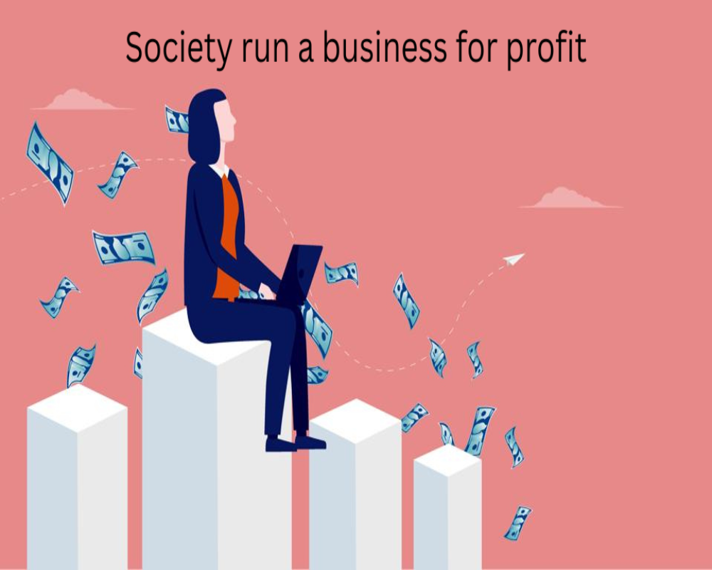 Can a society run a business for profit? Hello Auditor
