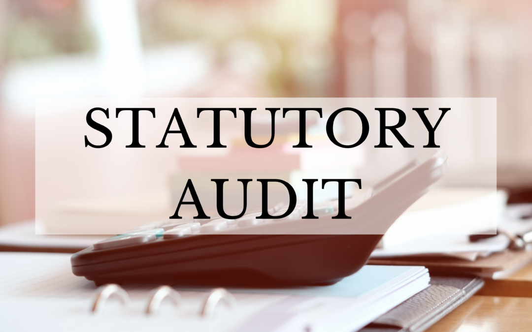 Are joint ventures required to conduct statutory audits?
