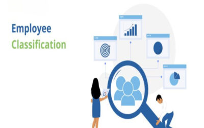  What is the employee classification under PT?