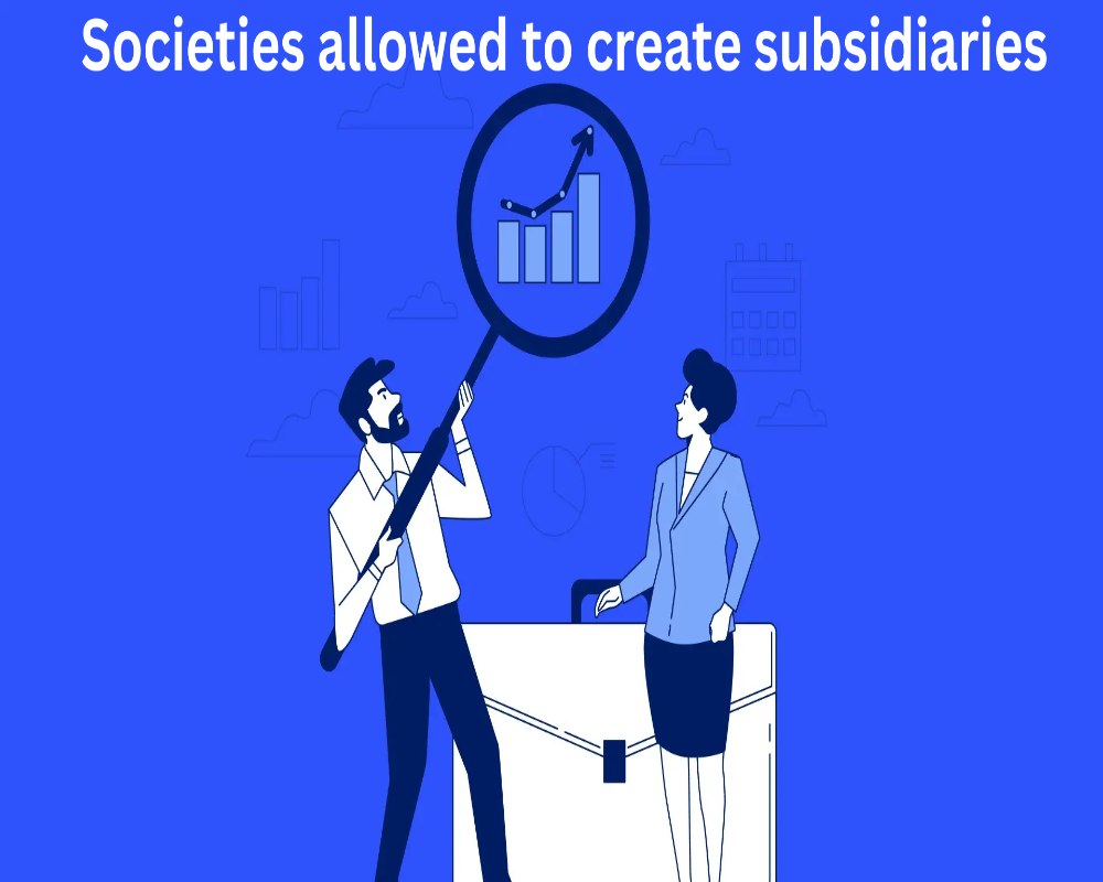 Are societies allowed to create subsidiaries? Hello Auditor