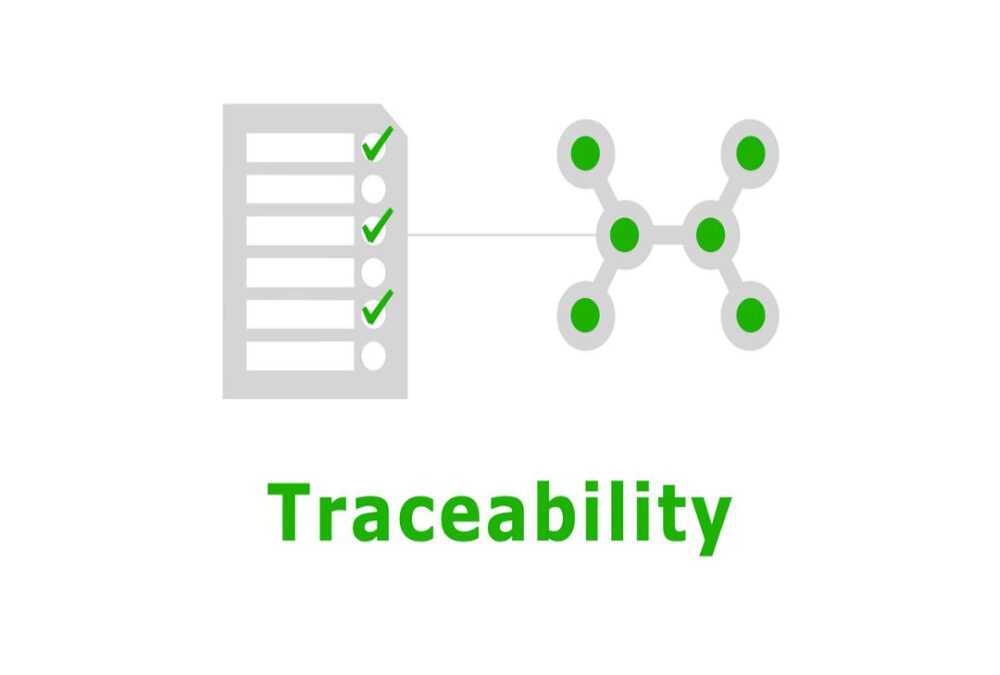 Describe DSC traceability for audit records