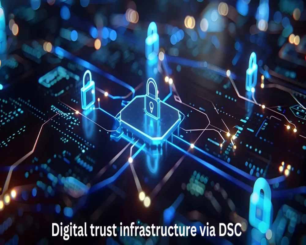 Establish digital trust infrastructure via DSC Hello Auditor