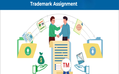 Briefly explain trademark assignment and its effects