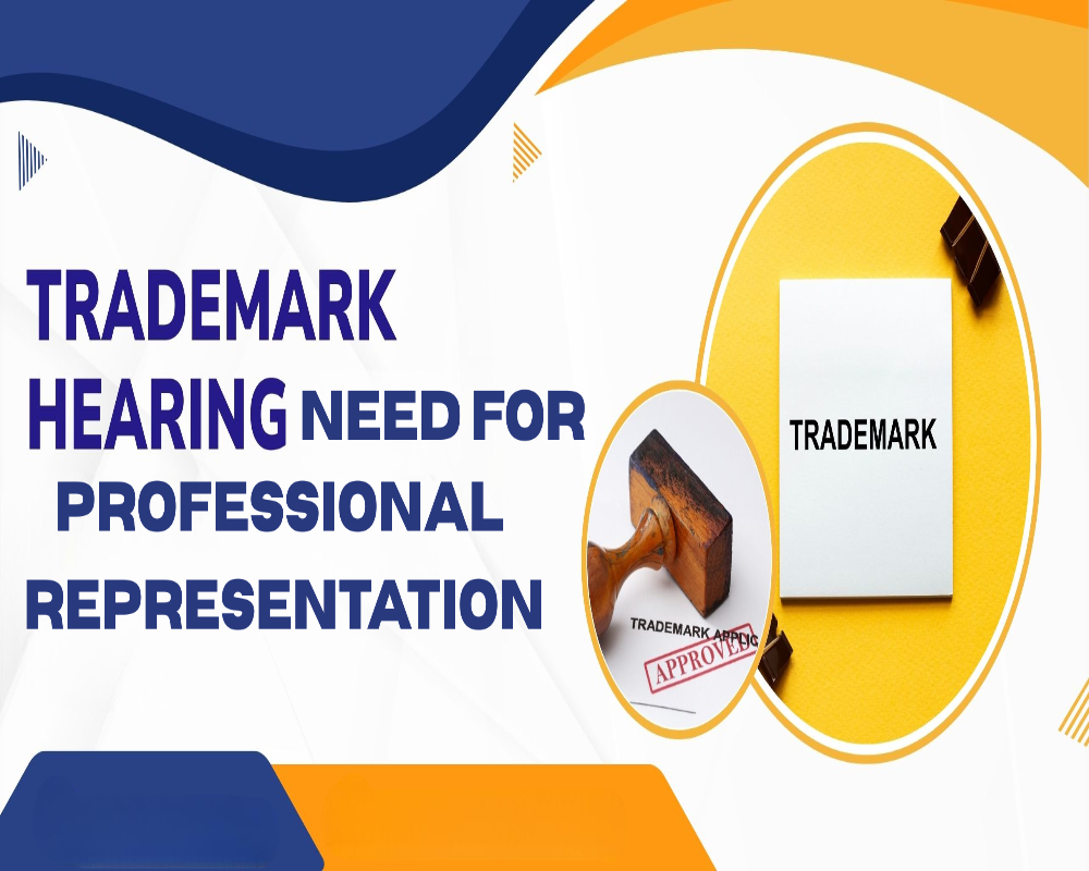 Establish the need for professional representation in TM hearings Hello Auditor