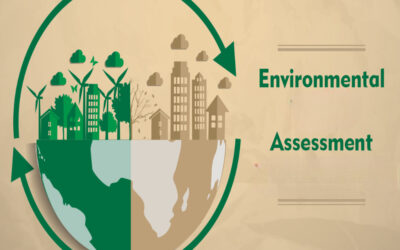 Describe the Environmental Assessments for Toll Projects