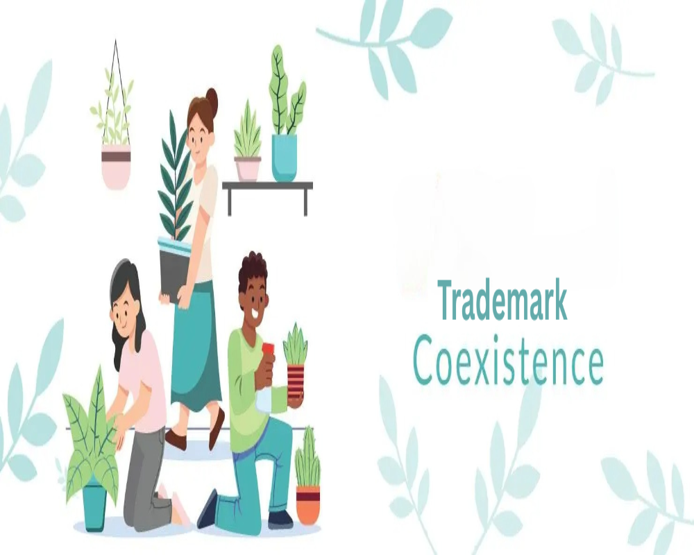 Define the legal concept of “TM coexistence” Hello Auditor