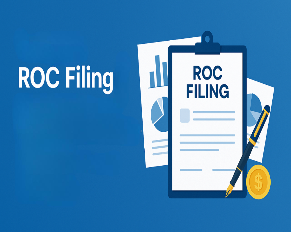 OPCs Enjoy Relaxed ROC Filing Norms Hello Auditor