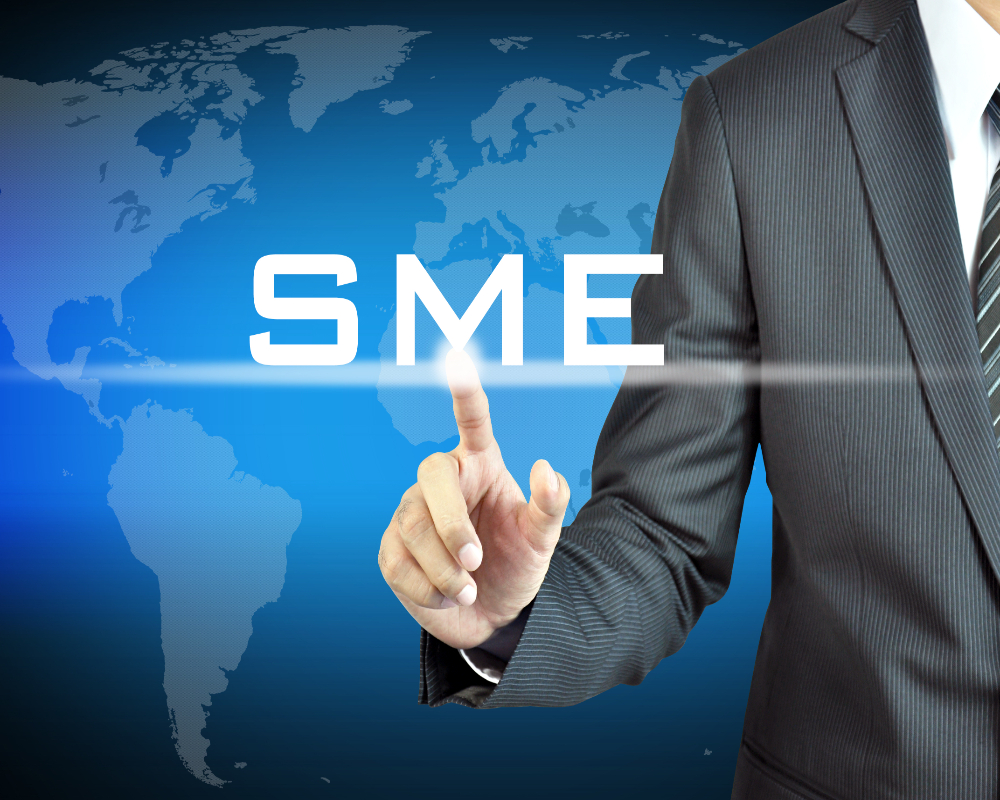 IT Firms Push for Wider DSC Adoption in SMEs Hello Auditor
