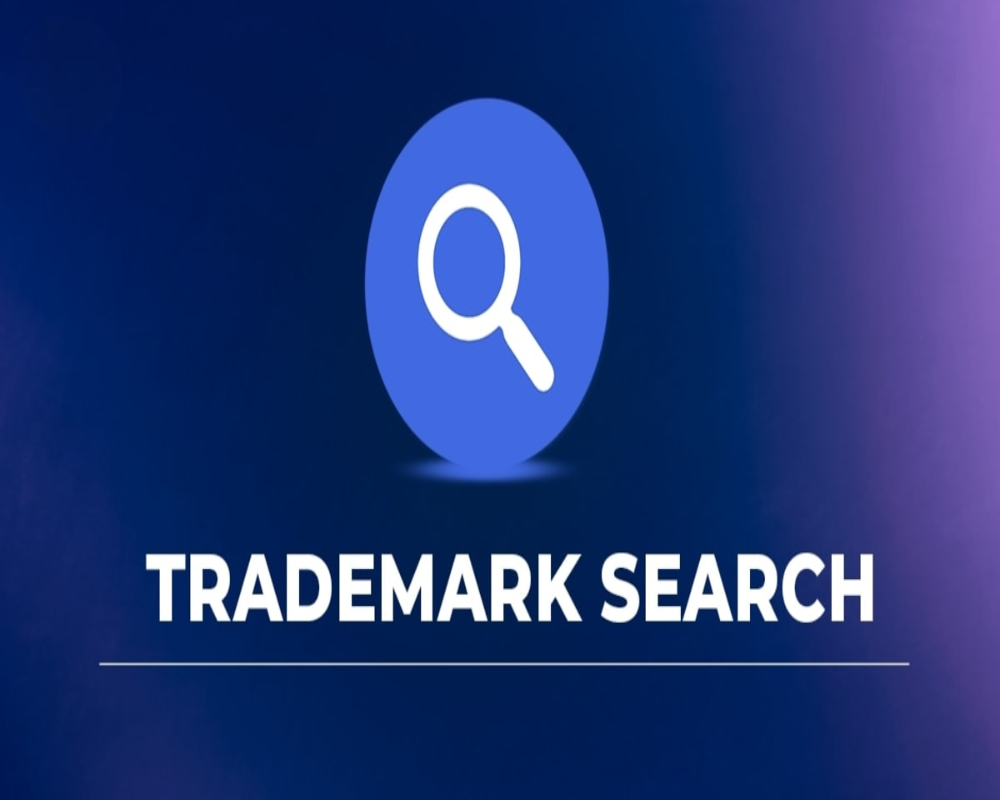 Trademark Search Trends Surge in Online Branding Sector Hello Auditor