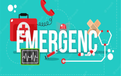 Calls for Toll-Free Access for Emergency Services Intensify