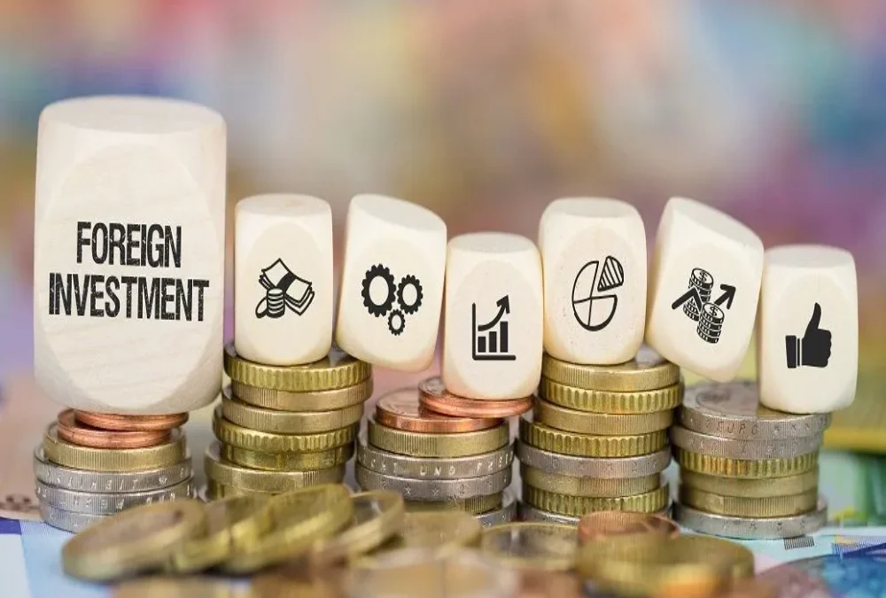 Foreign Investment Allowed in Indian OPCs