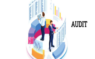 Central Excise Officers to Audit Large Service Tax Payers
